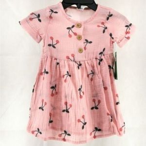 Modern Moments by Gerber 5T Girl Toddler Pink Flowers Dress
